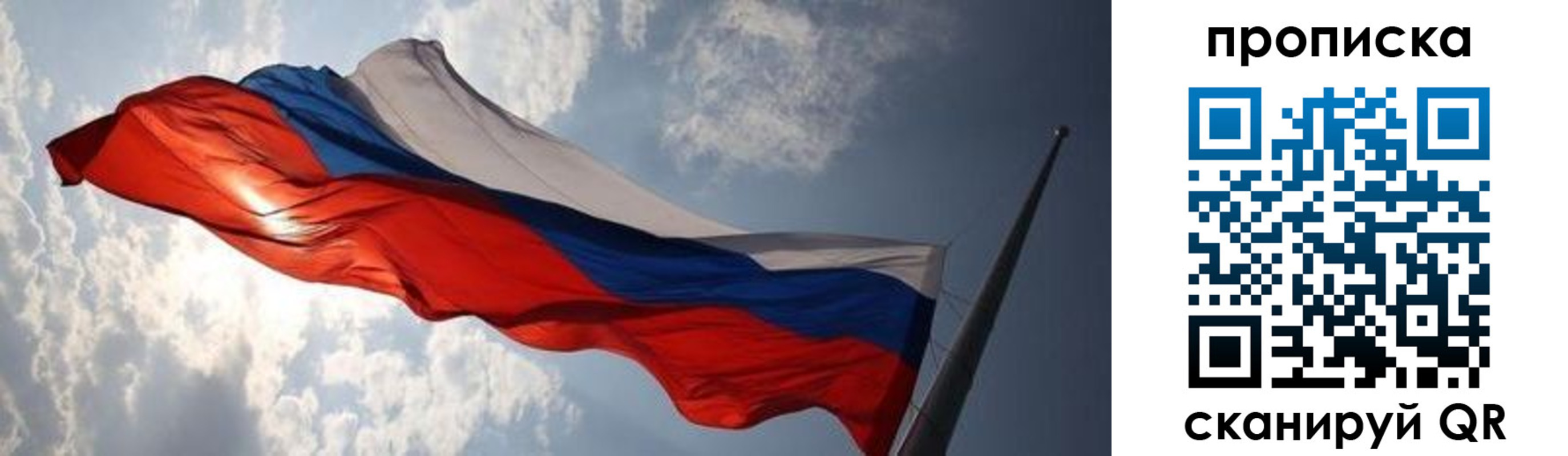 прописка штамп в Вязьме